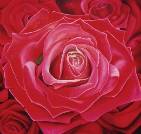 Rosa 